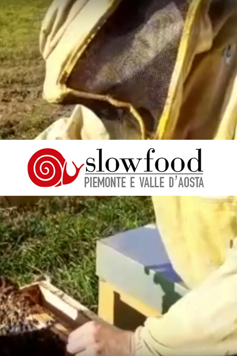 Volavia - controllo invernali delle api  - Apicoltura VolaVia