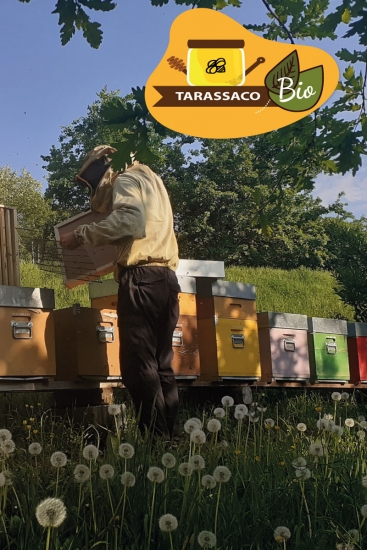 tarassaco miele bio Monviso - Apicoltura VolaVia