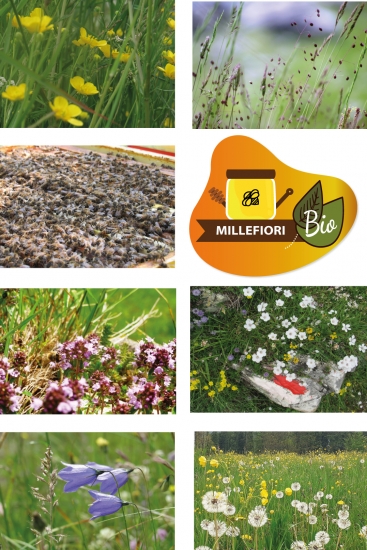 monviso miele apicoltore api miele biologico volav&igrave;a volavia apicoltura millefiori - Apicoltura VolaVia