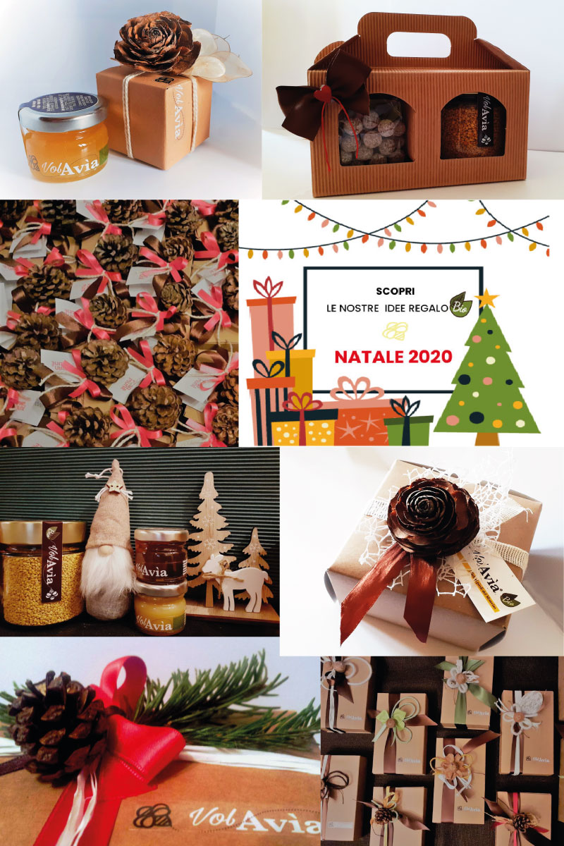 volavia monviso miele biologico alberto fino apicoltura ostana - Apicoltura VolaVia