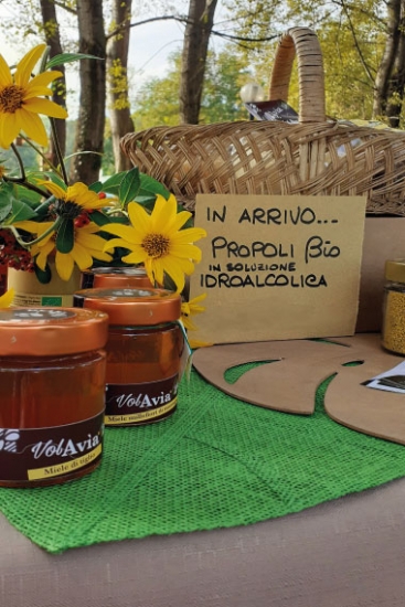  - Apicoltura VolaVia
