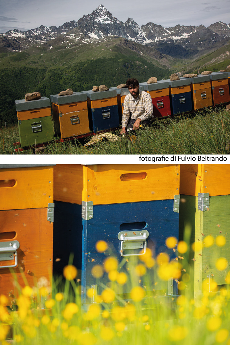  - Apicoltura VolaVia
