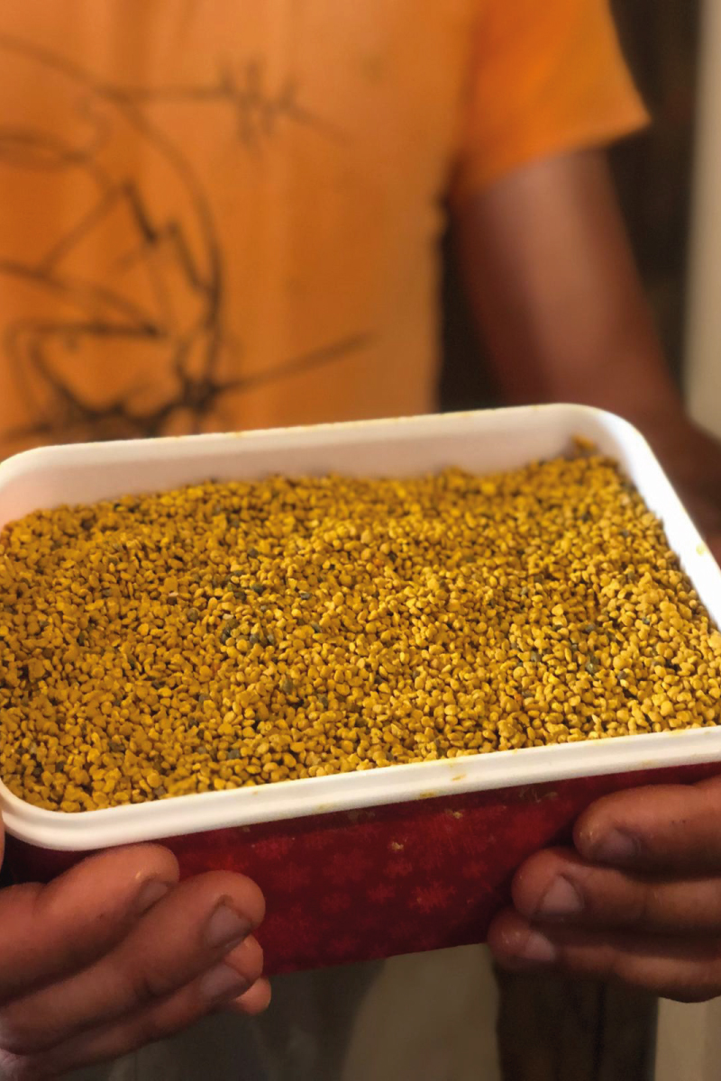 fino alberto volaviabio miele Monviso Biologico honey terres monviso Alberto Fino polline - Apicoltura VolaVia